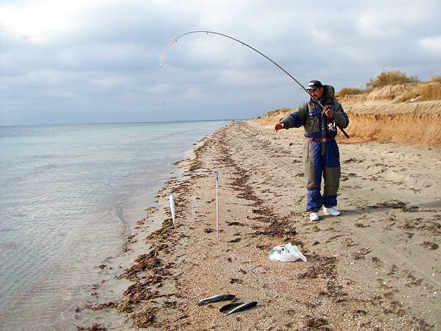 Рыбалка в крыму с берега - подготовка, места для рыбалки, снасти