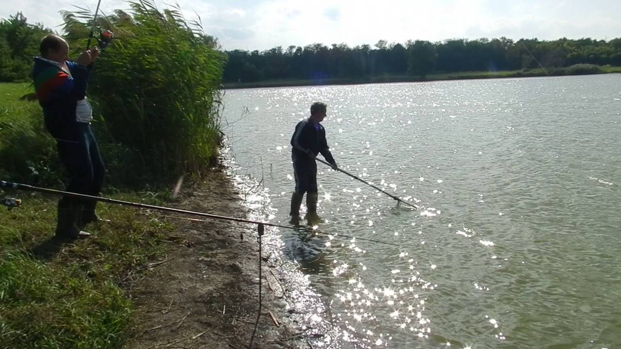 Самые рыбные места в ставропольском крае и ставрополе, где стоит ловить рыбу