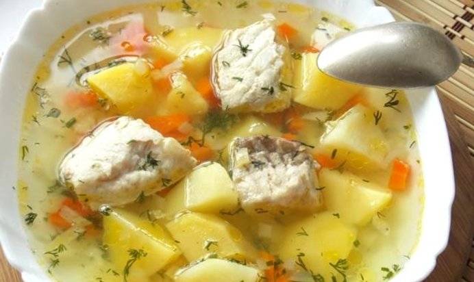 Уха (рыбный суп) из стерляди в домашних условиях — 7 самых простых и очень вкусных рецептов приготовления