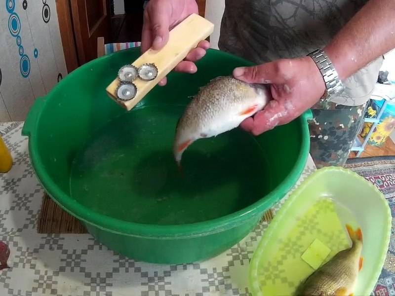 Как легче чистить скользкую рыбу