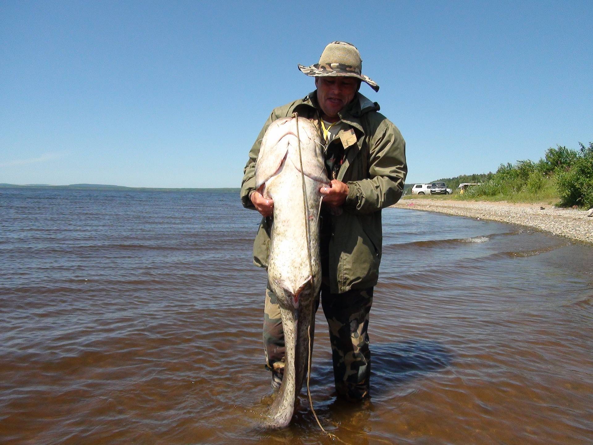 Рыбалка в балаково – обзор водоемов