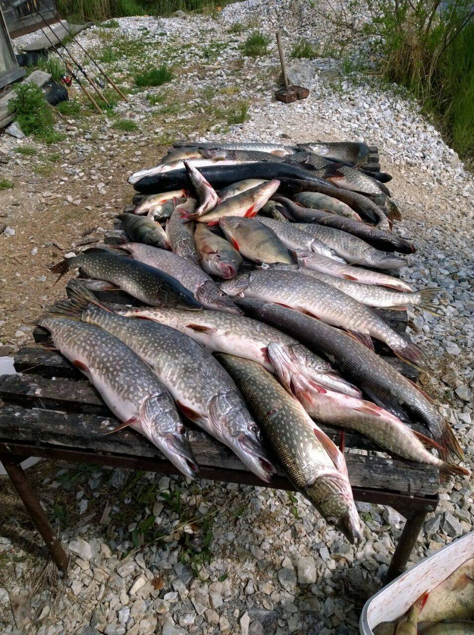 Рыбалка на байкале летом и зимой, места для рыбной ловли