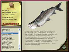 Белорыбица: что за рыба, как готовить, рецепты. блюда из белорыбицы