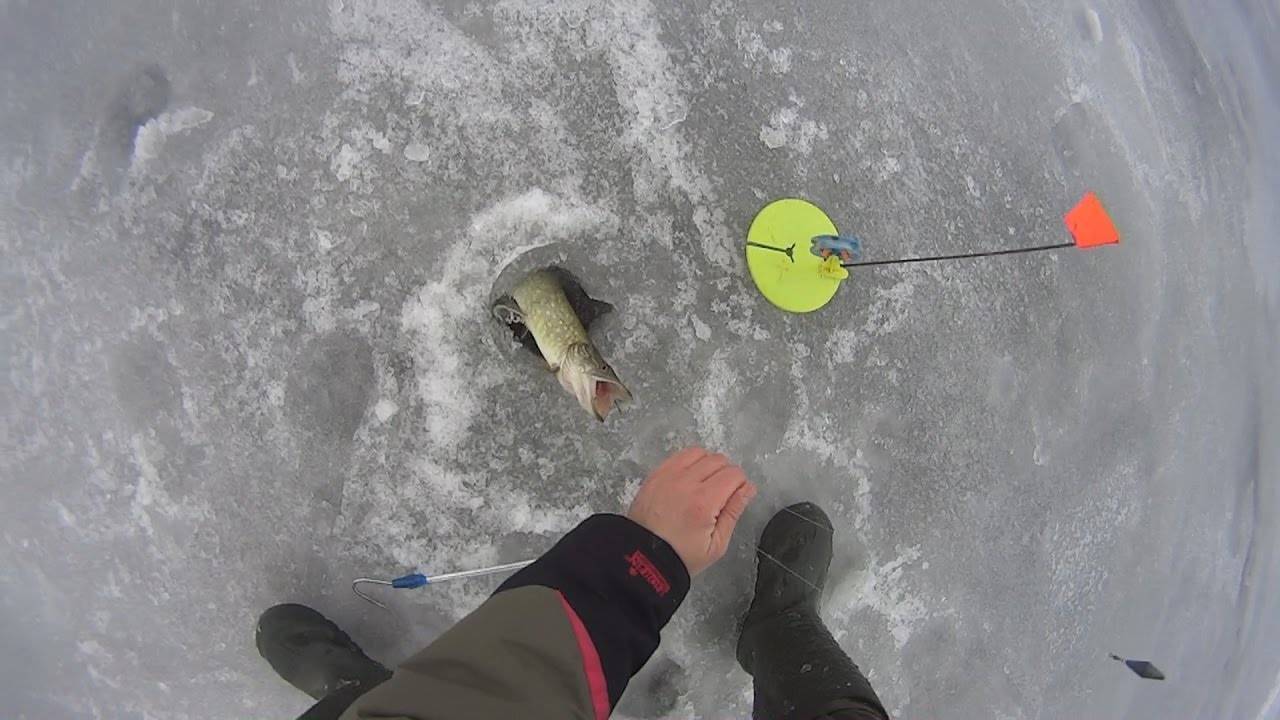 Зимний подледный лов для начинающих: cоветы начинающему зимнику - читайте на сatcher.fish