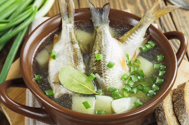Как варить уху, дома, рецепты: простую, бурлацкую, прозрачную, из речной рыбы