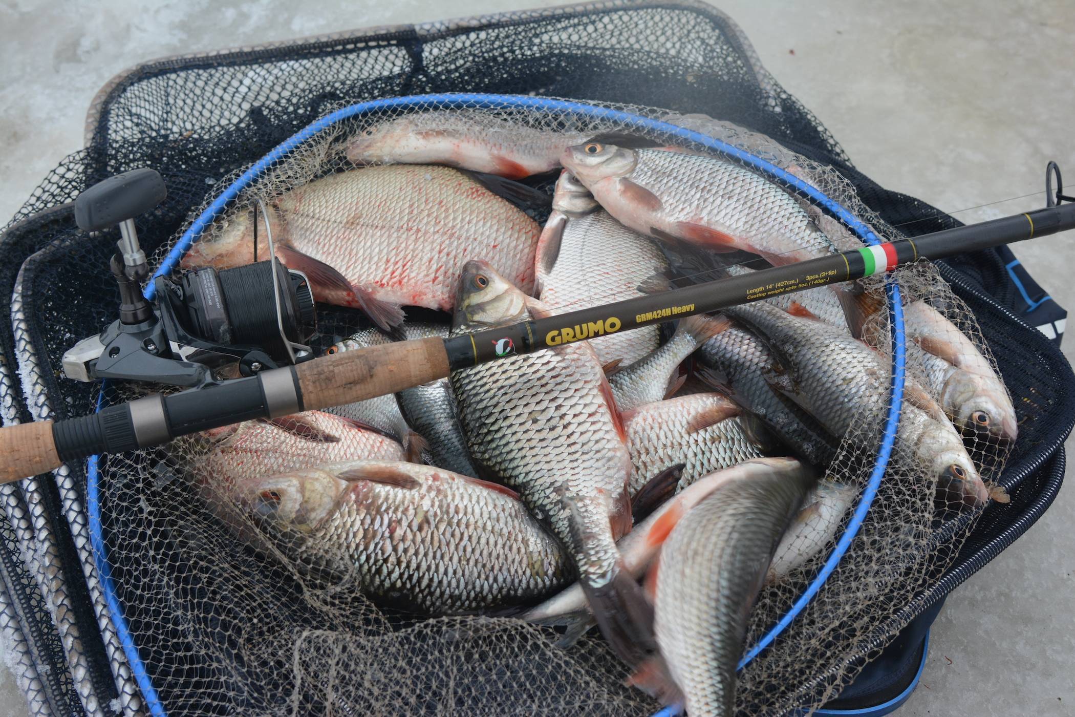 Рыбачим на оке — обзор уловистых мест и особенности рыбалки