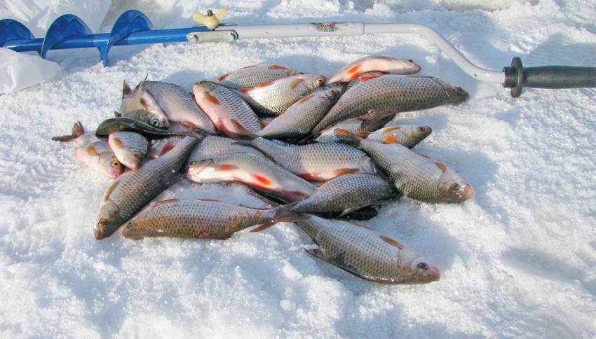 Рыбалка в татарстане: места и средства лова, особенности клёва