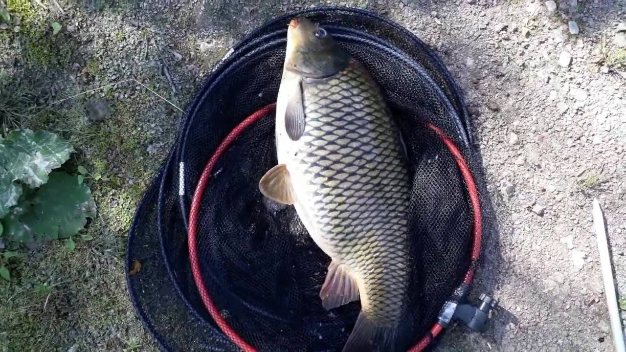 Рыбалка на бисеровом озере - все про рыбалку