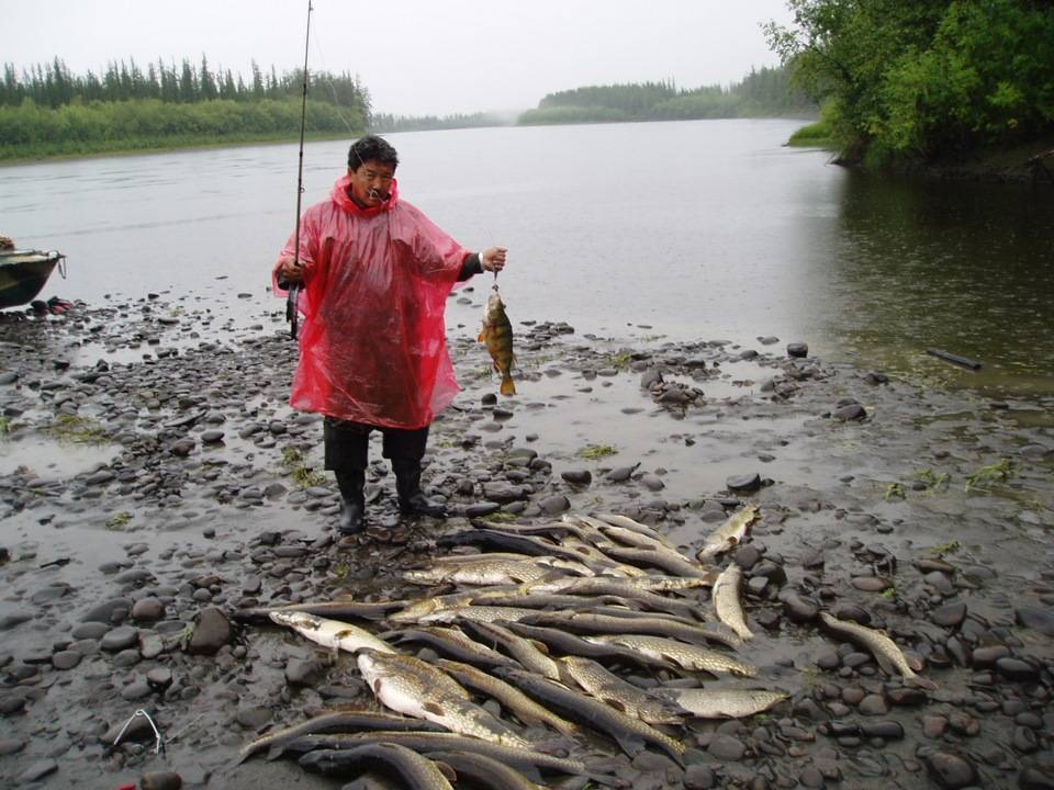Рыбалка в июле: на что ловить рыбу и где ее искать?