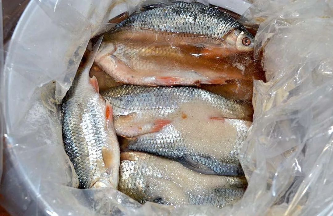 Вяленая рыба: как правильно завялить, сколько хранить по времени, рецепт маринада