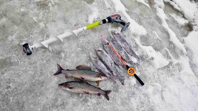 Зимняя рыбалка - все о рыбалке зимой: особенности, снасти, снаряжения, секреты и видео