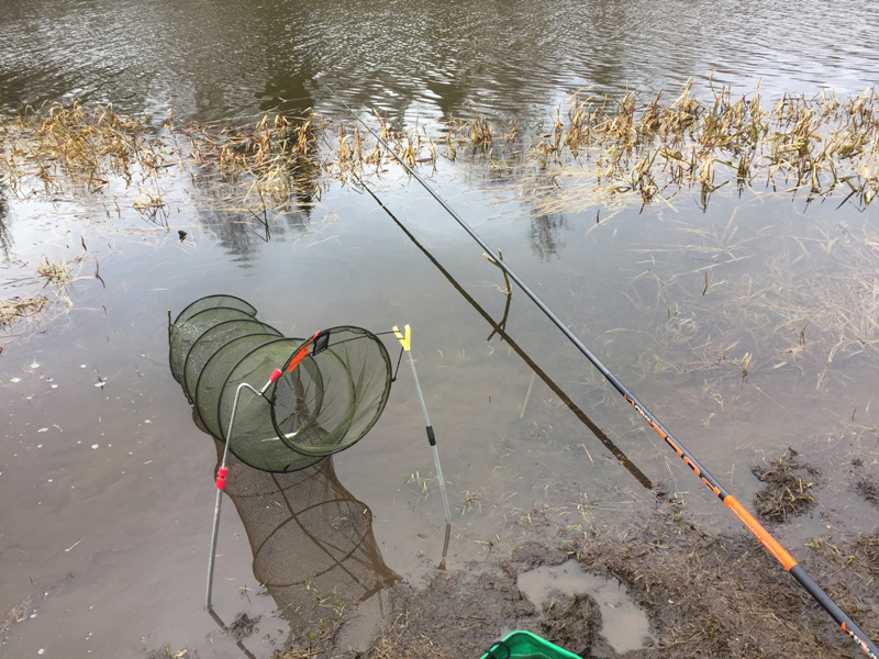 Ловля линя на фидер – начинающим рыболовам