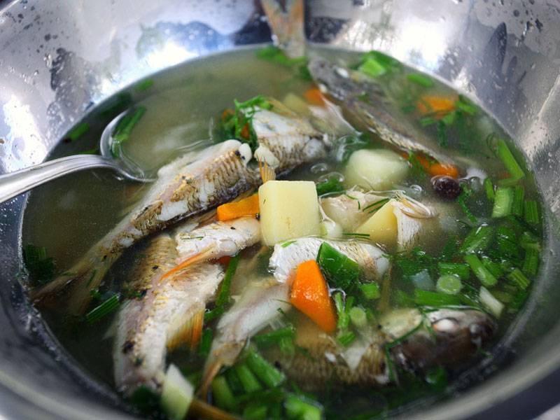 Уха из окуня – вкусный суп в домашних условиях. как правильно готовить уху из окуня: секреты, рецепты, советы