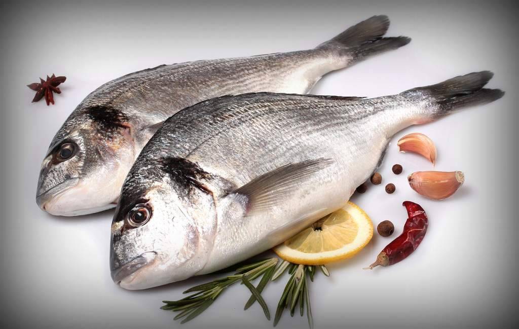 Пикша – ценная промысловая морская рыба семейства тресковых