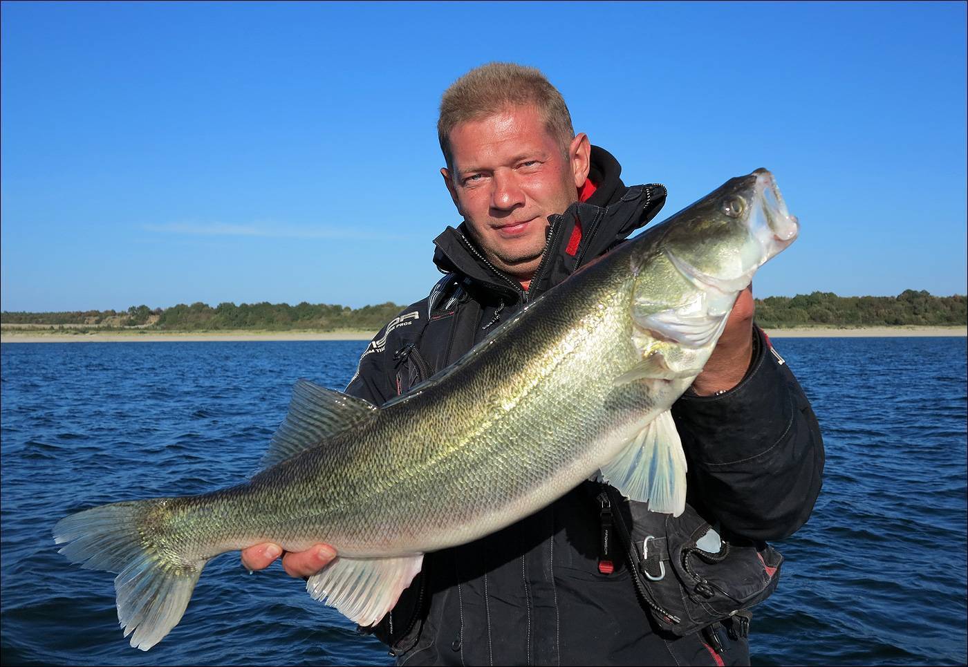 ✅ какие виды рыб водятся в белом море - niggaslife.ru