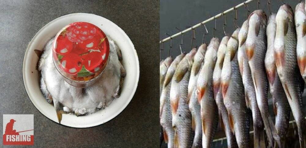 Как засолить красную рыбу в домашних условиях вкусно и быстро