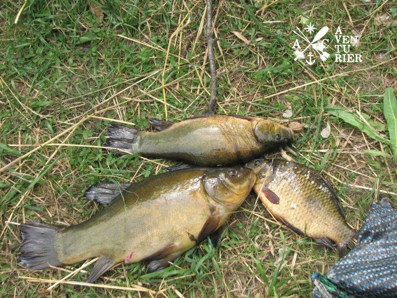 Рыбалка на водохранилище рудея ловля леща щуки в могилевской области