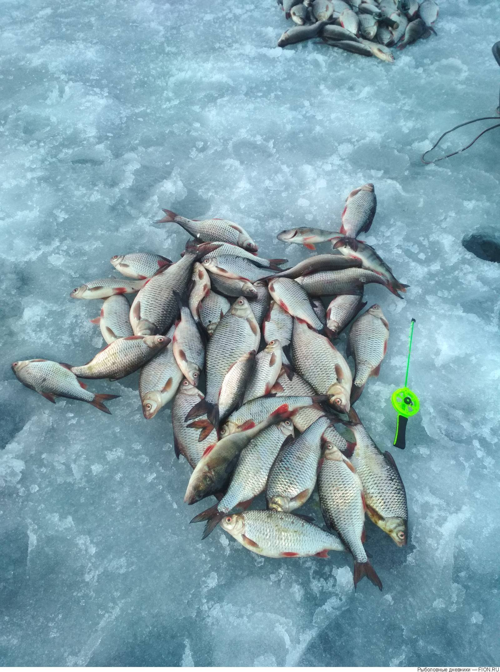 Рыбалка на иваньковском водохранилище лучшие места ловли. рыболовные базы на иваньковском водохранилище