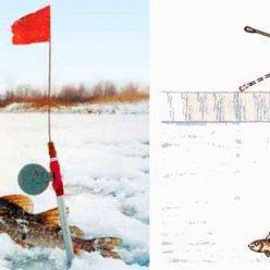 Самый “клевый” способ рыбалки на хищницу: ловля щуки зимой на флажки
