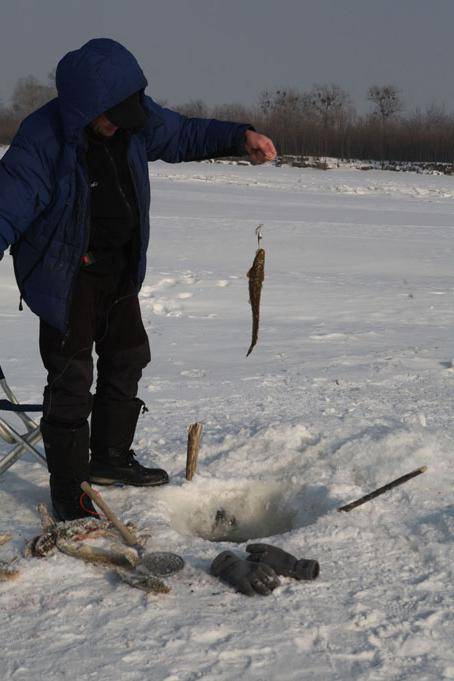 Ловля налима зимой на жерлицы. ловля налима зимой на блесну :: syl.ru