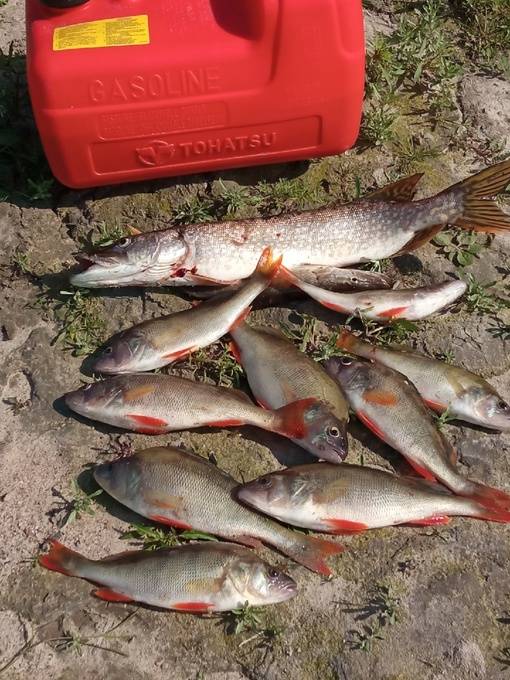 Рыбалка на яузском водохранилище: фото и отзывы