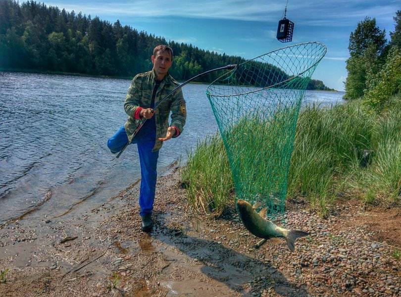 Рыбалка в финляндии - особенности, правила, лицензия, озерная и речная рыбалка в финляндии