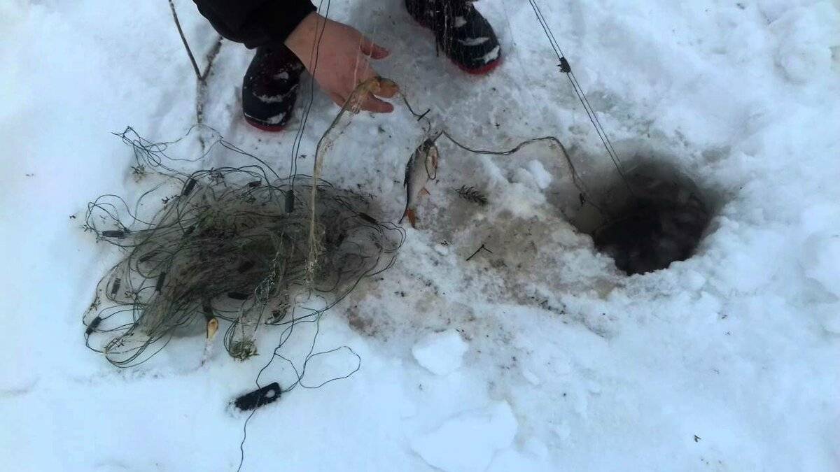Ловля рыбы острогой зимой видео