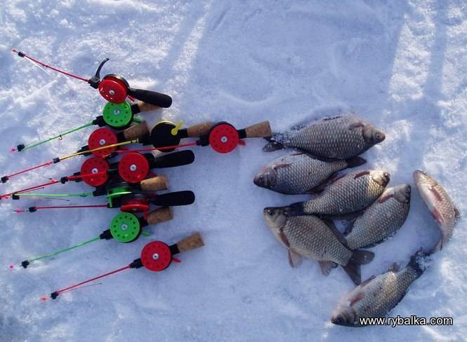 Ловля карася зимой на мормышку - читайте на сatcher.fish