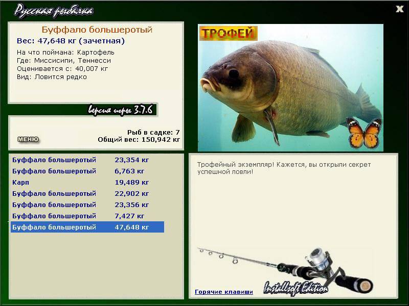 Рыба буффало: описание и фото, где обитает и на что ловить