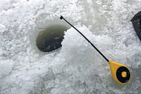Как сделать зимний фидер и как им ловить со льда
