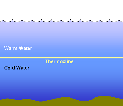 Как правильно применять барометр на рыбалке: когда переходить на ловлю с поверхности или в толще воды?