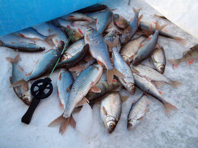 Рыбалка в ханты-мансийском автономном округе – югра: лучшие места на карте топ-10