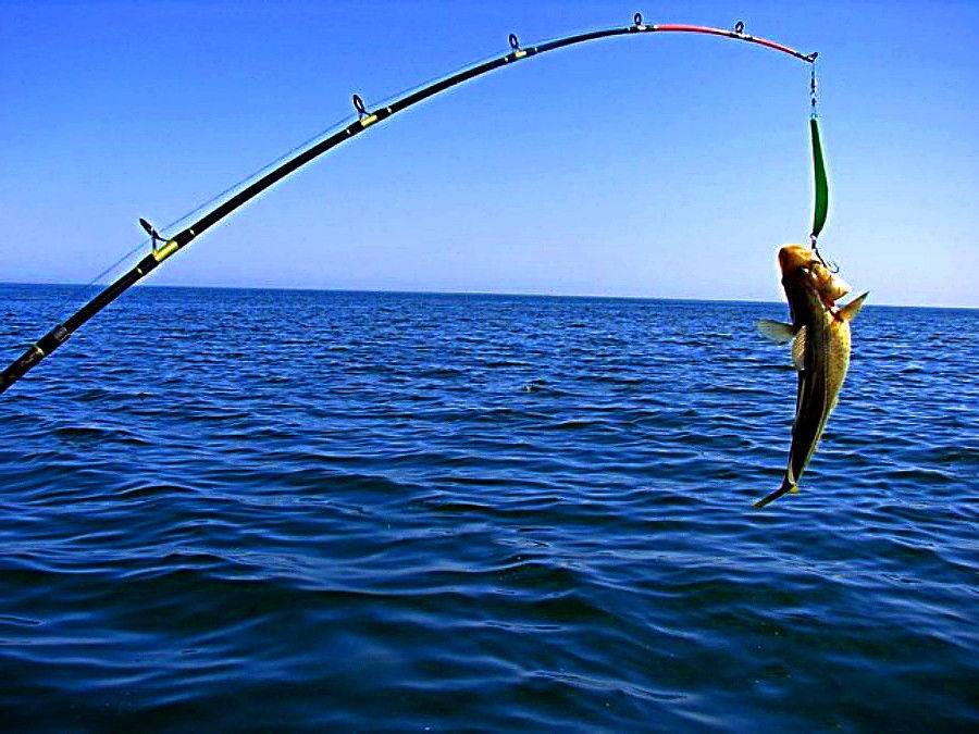 Морская рыбалка в крыму. черное и азовские моря для рыбалки