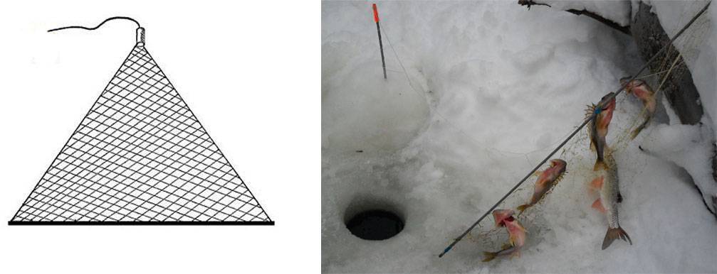 Рыбалка на косынки зимой: где и когда можно ловить косынкой