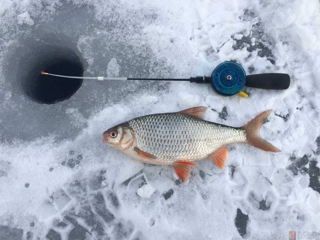 Лучшая погода для ловли зимой