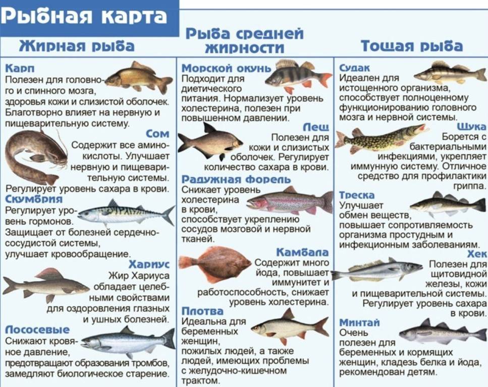 Список нежирных сортов рыбы: таблица калорийности, рецепты диетических блюд