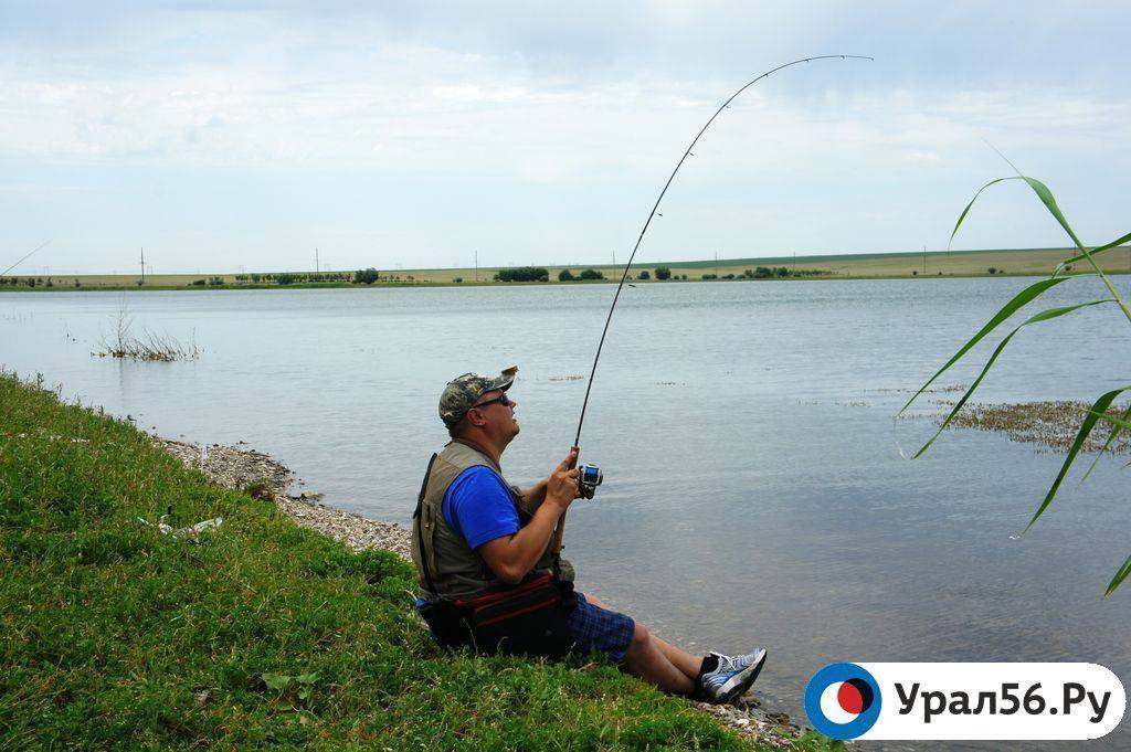 Платная рыбалка в оренбургской области: рыболовные туры и зимняя рыбалка на реках области