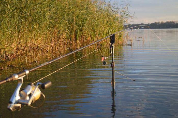 Рыбалка в рязанской области и в рязани - fishingwiki