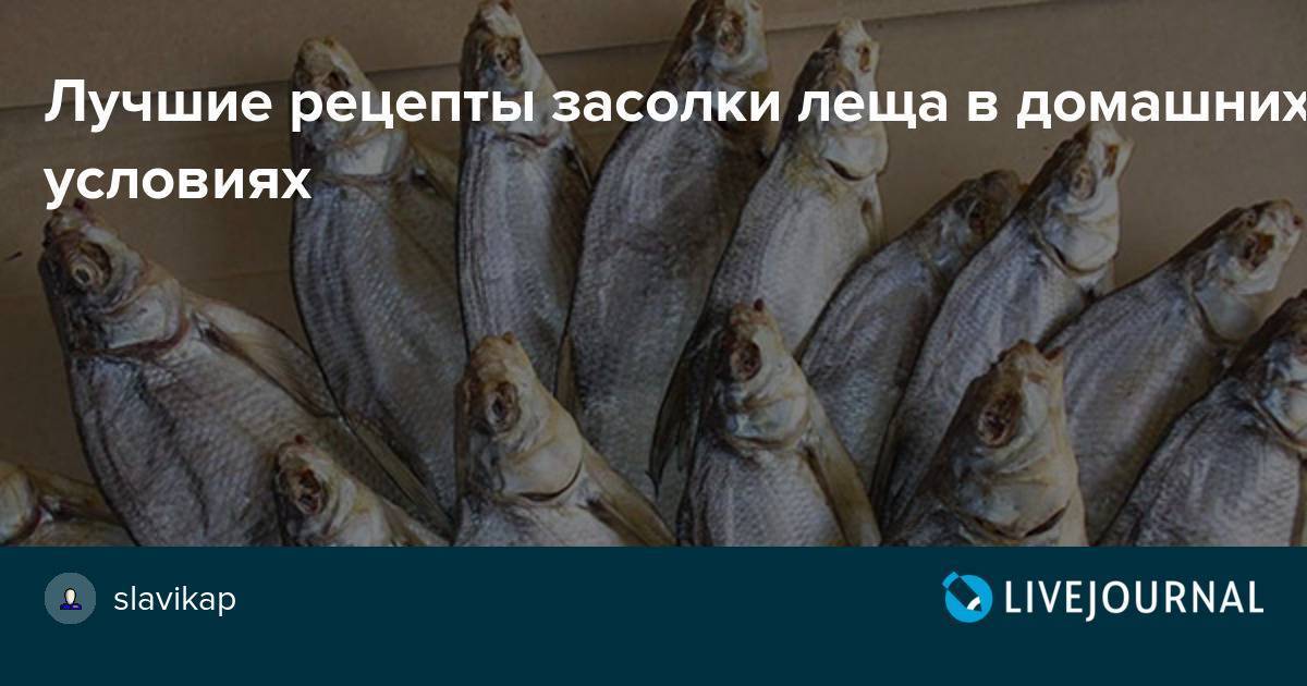 ᐉ засолка чехони - рыбные рецепты - ✅ ribalka-snasti.ru