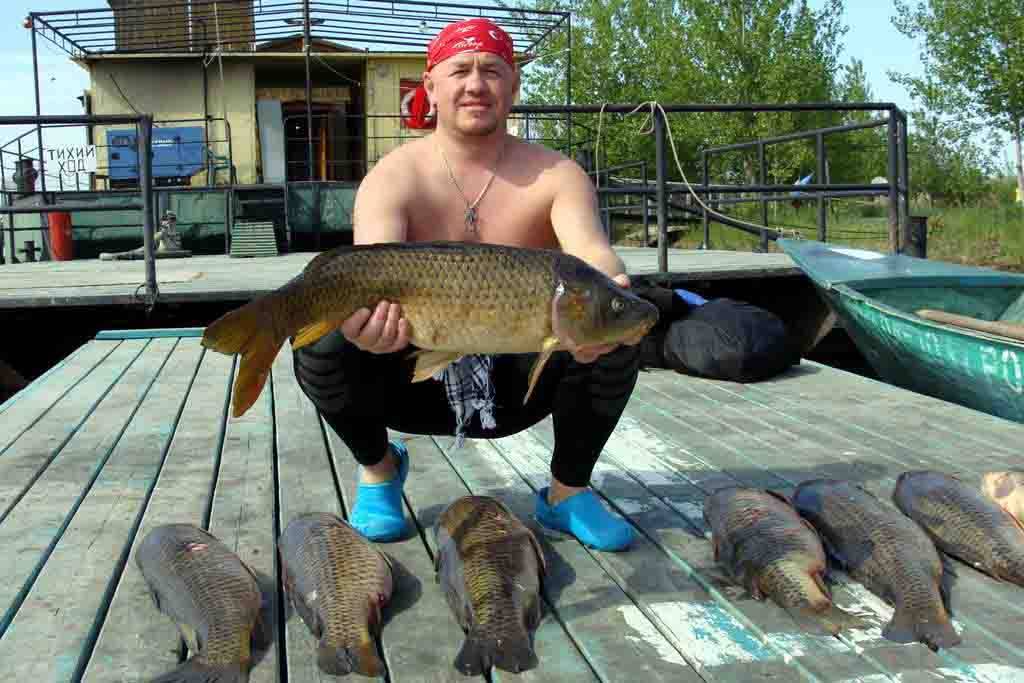 Ильмень (озеро): отдых, рыбалка и отзывы туристов