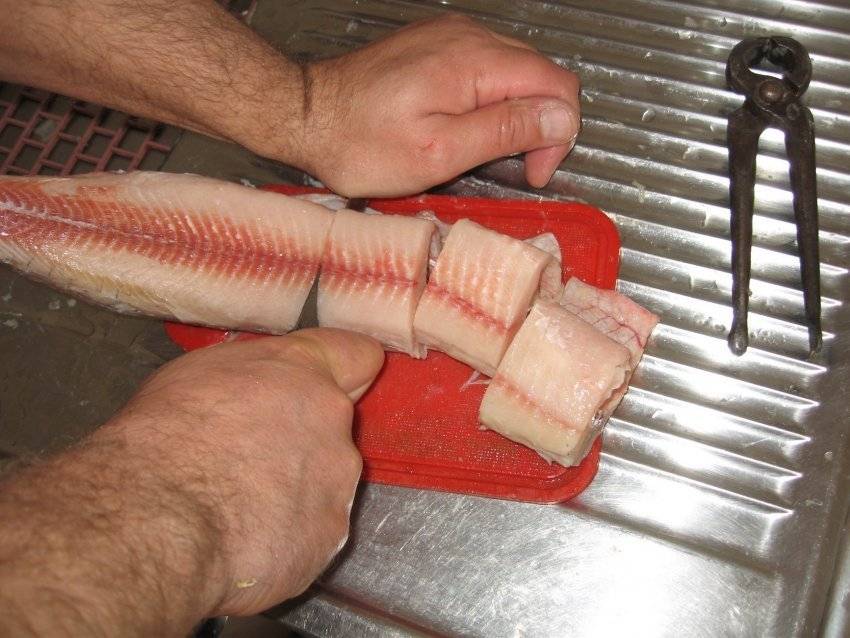Как разделать щуку на котлеты, правильная чистка рыбы от чешуи и разделка филе, видео