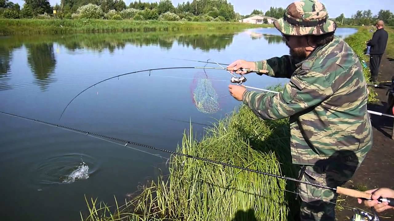Платная рыбалка в егорьевске московской области