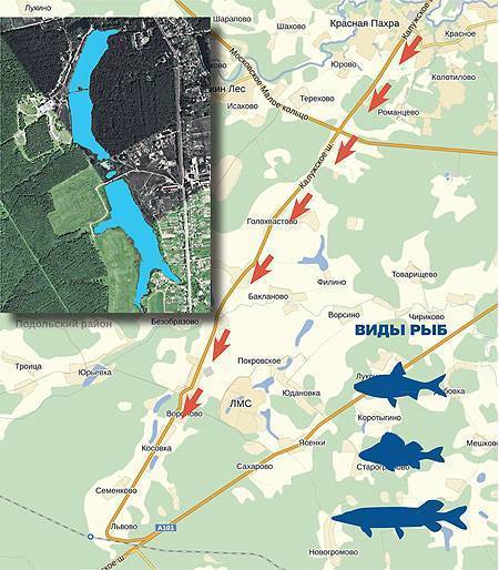 Белоярское водохранилище: карта рыбных мест, особенности рыбалки, какая рыба водится