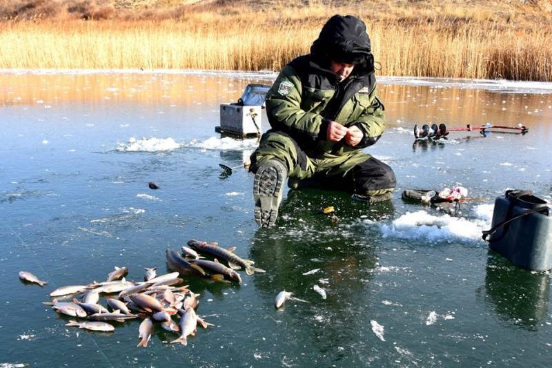 Рыбалка в краснохолме оренбургской области -по областям -рыбалка в оренбургской области -рыбалка