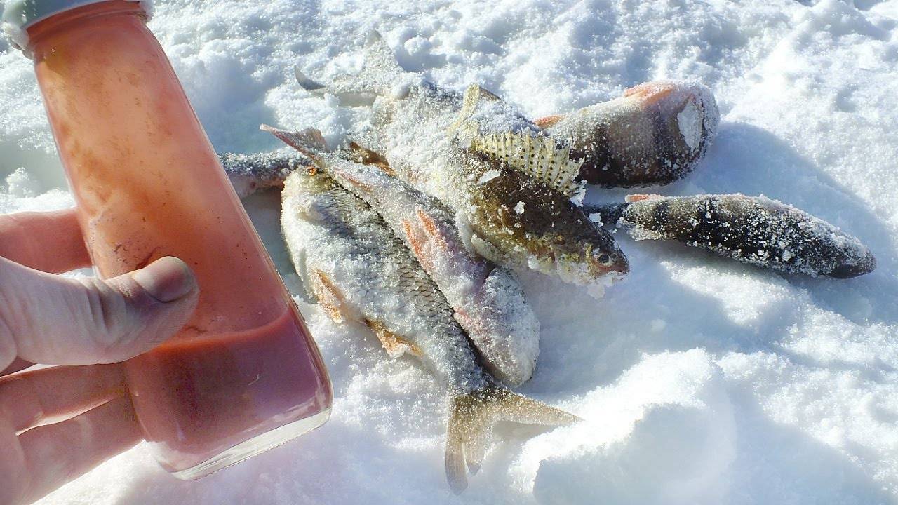 Руководство по зимней рыбалке для начинающих