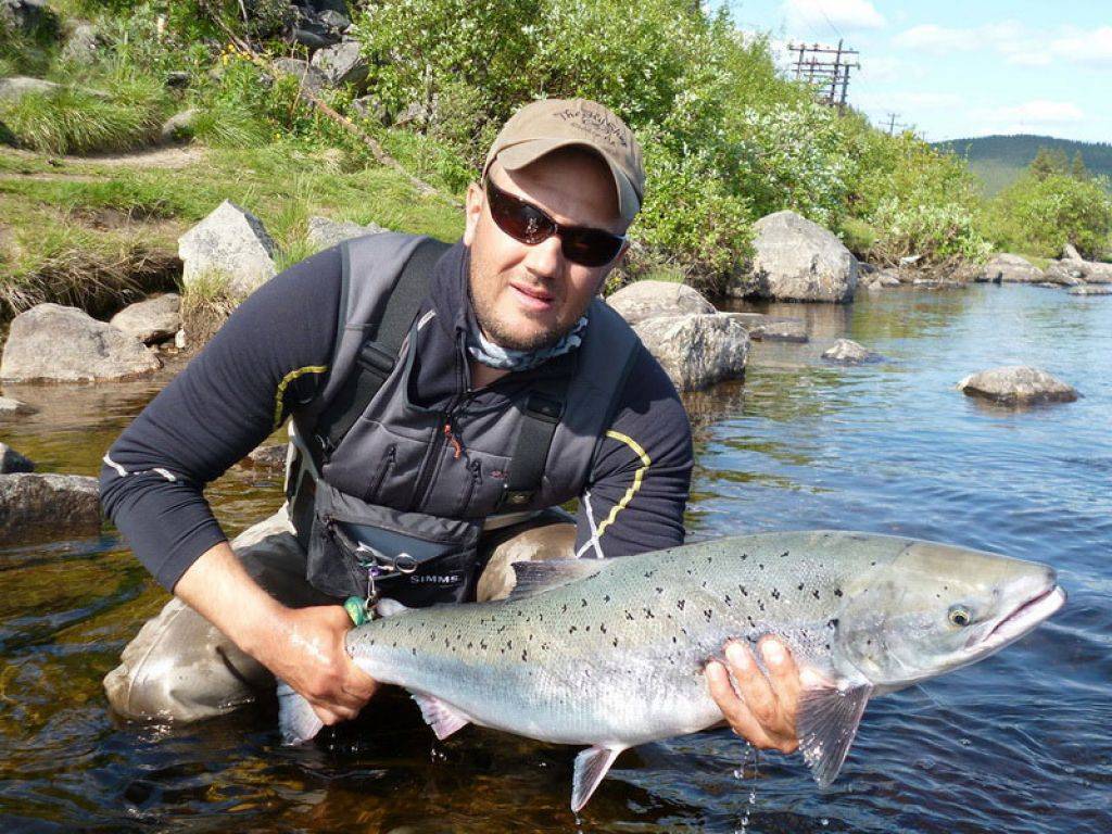 Мурманск - календарь рыболова. рыбалка в мурманске, график клёва рыбы.