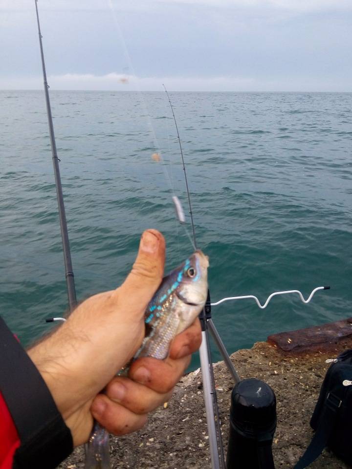 Рыбалка в крыму: куда пойти, что можно поймать