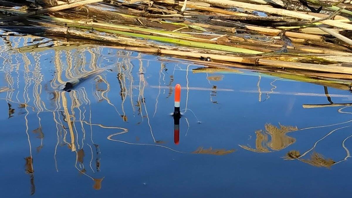 Поплавочные снасти для ловли карасей весной: особенности и видео рыбалки на удочку с поплавком