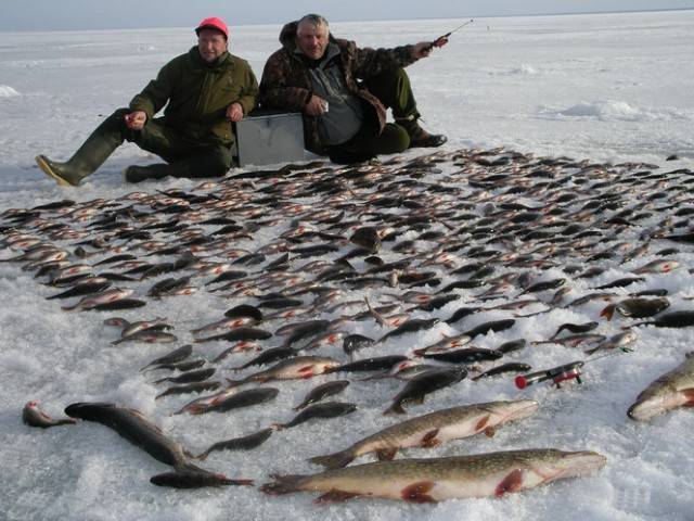 Рыбалка на Красноярском море