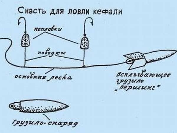 Снасть для ловли пеленгаса на азовском море — ловись рыбка